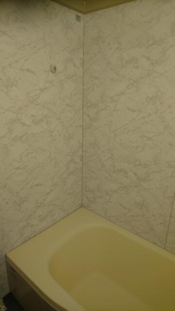 ドルフィン(新宿区/ラブホテル)の写真『103号室（浴室入口横から奥方向）』by 格付屋
