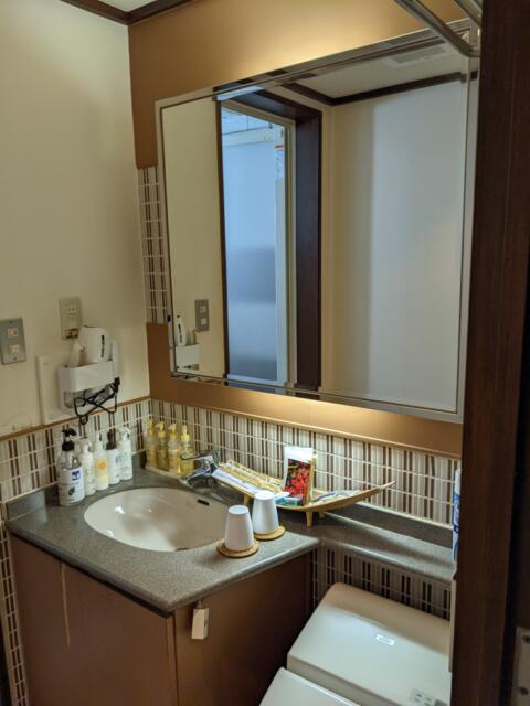 CHECK INN BALI(豊島区/ラブホテル)の写真『203号室(洗面台)』by マーシ