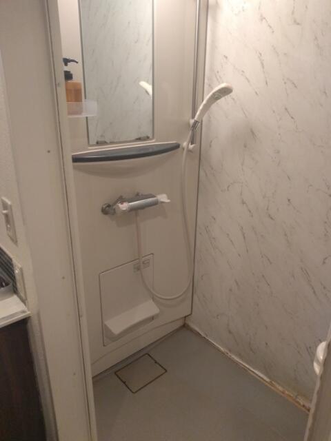 レンタルルーム ダーツ24(品川区/ラブホテル)の写真『202号室 シャワー室』by ましりと