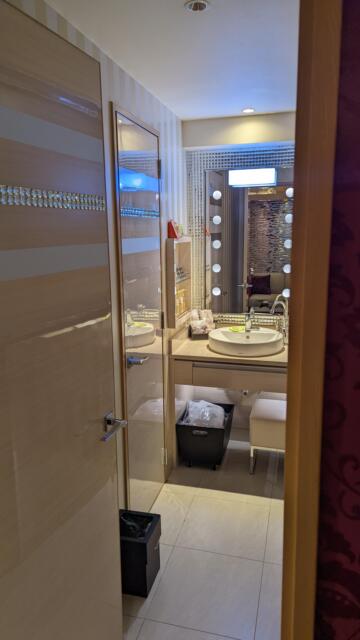 ホテル PASHA RESORT(パシャリゾート)(新宿区/ラブホテル)の写真『301号室 洗面台』by クワッグ