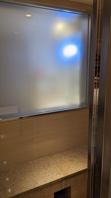 ホテル PASHA RESORT(パシャリゾート)(新宿区/ラブホテル)の写真『301号室 浴室サウナ』by クワッグ