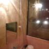 ニューアリス(大田区/ラブホテル)の写真『101号室（浴室奥からシャワー部分）』by 格付屋