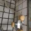 ル・ペイブラン(渋谷区/ラブホテル)の写真『503号室の浴室水栓。』by angler