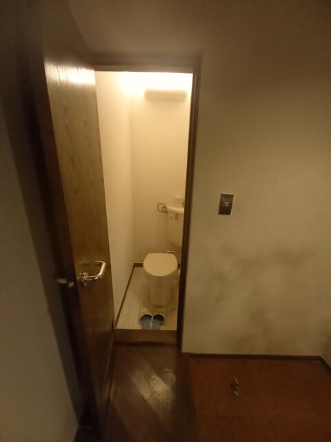 ル・ペイブラン(渋谷区/ラブホテル)の写真『503号室のトイレ  ウォシュレットなし。(^_^ゞ』by angler