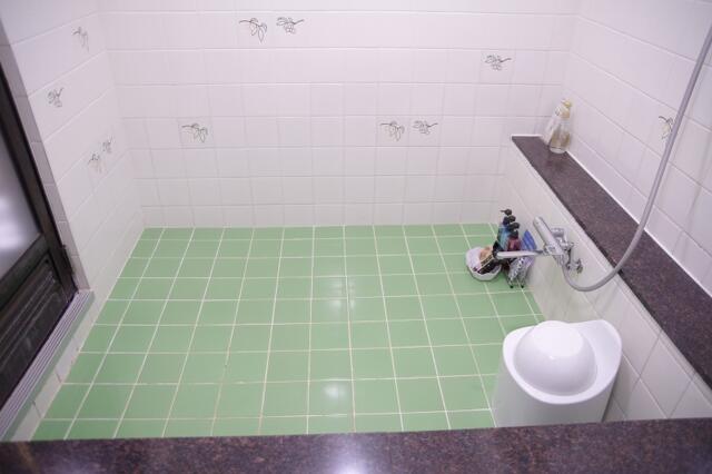 HOTEL エルアンドエル草加(草加市/ラブホテル)の写真『307号室　広めの洗い場』by マーケンワン