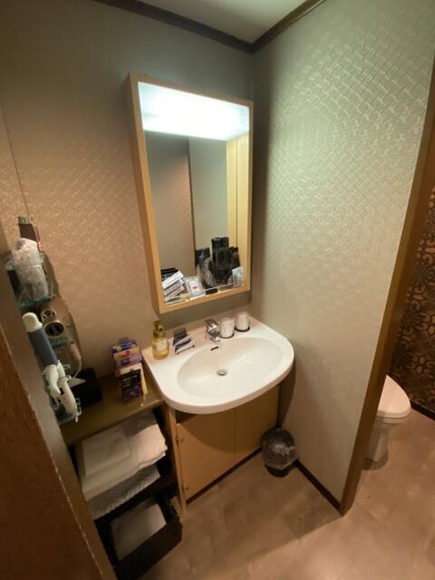 HOTEL ALLURE（アリュール）(渋谷区/ラブホテル)の写真『302号室　洗面所』by たなかgyo