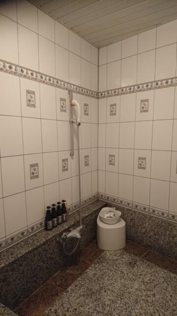 W-ARAMIS（アラミス）(新宿区/ラブホテル)の写真『202号室（浴室入口横からシャワー。スライド固定式壁向きヘッド）』by 格付屋