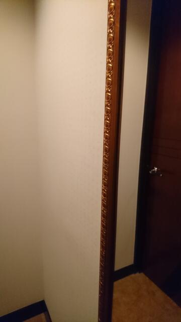 W-ARAMIS（アラミス）(新宿区/ラブホテル)の写真『202号室（玄関（内扉前））』by 格付屋
