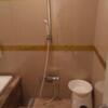 HOTEL LIXIA（リクシア）(豊島区/ラブホテル)の写真『302号室 シャワー(湯量も勢いも十分)』by 舐めたろう