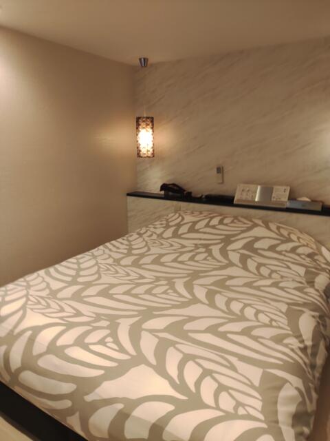 ホテル ヴィラ 栄店(VILLA)(名古屋市中区/ラブホテル)の写真『507号室ベッドルーム１』by エロスギ紳士