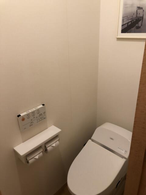 HOTEL DUO（デュオ）(墨田区/ラブホテル)の写真『102号室、トイレ』by かとう茨城47
