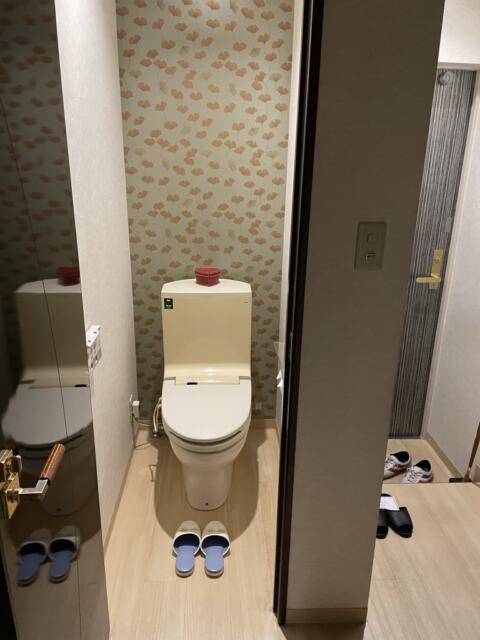 K Slit（ケイスリット）(船橋市/ラブホテル)の写真『402号室　トイレ』by Infield fly