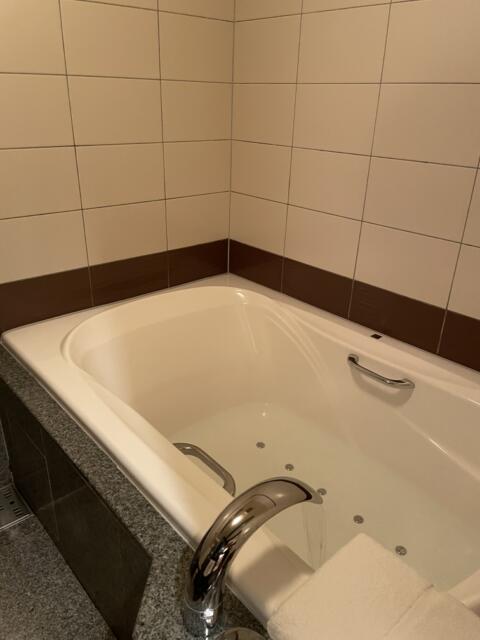 シーズ鶯谷(台東区/ラブホテル)の写真『207号室　浴槽』by 346
