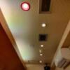 ホテルLALA33(豊島区/ラブホテル)の写真『108　天井の照明』by ゆかるん