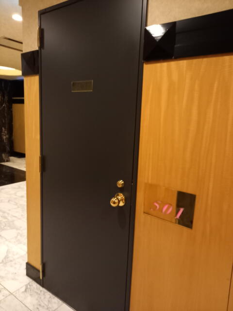 セリオ(新宿区/ラブホテル)の写真『501号室のドア あらかじめ開いている。』by angler
