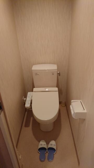 サンマリン(新宿区/ラブホテル)の写真『503号室、トイレ』by ビデ三郎