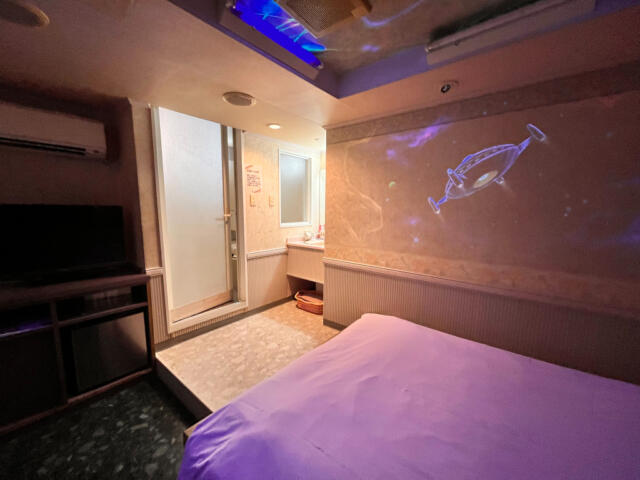 ホテル ムーンパティオ(豊島区/ラブホテル)の写真『457号室　全景』by INA69