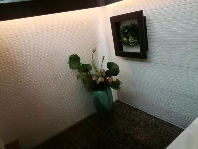 HOTEL VICTORIA RESORT(茅ヶ崎市/ラブホテル)の写真『201号室、洗い場です。(21,12)』by キジ