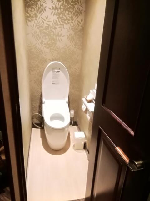 HOTEL VICTORIA RESORT(茅ヶ崎市/ラブホテル)の写真『201号室、トイレです。(21,12)』by キジ