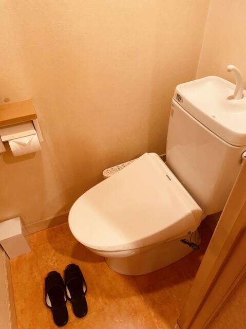 シーズ鶯谷(台東区/ラブホテル)の写真『206号室トイレ』by miffy.GTI