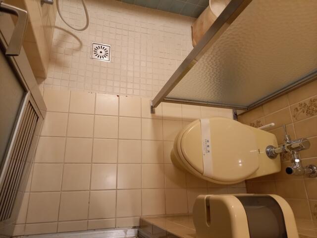 モンリーヴ(川口市/ラブホテル)の写真『502号室、トイレ』by イシバシ