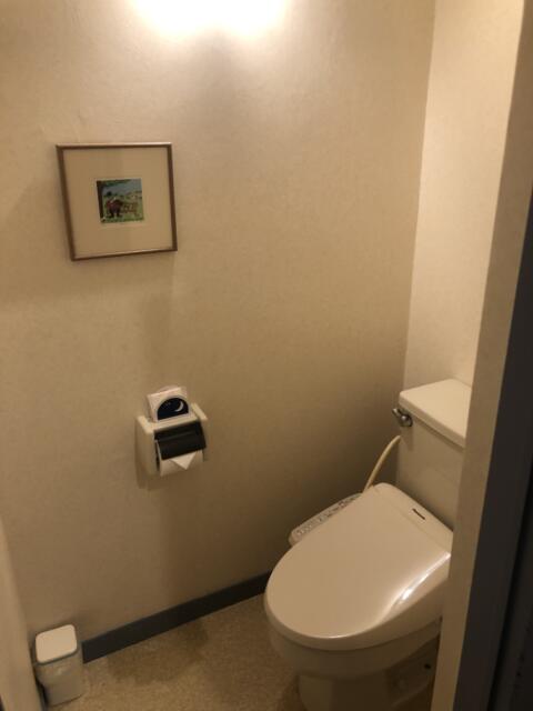 HOTEL SUN SILK（サンシルク）(高崎市/ラブホテル)の写真『210号室トイレ』by ずやさん