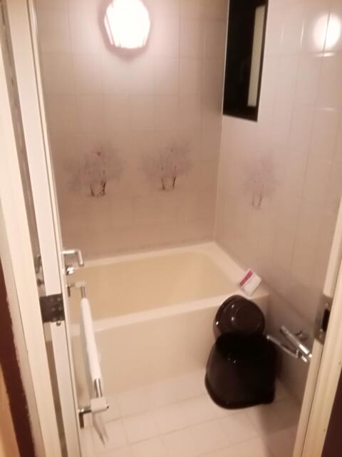 WILL CITY 浅草 ANNEX(台東区/ラブホテル)の写真『502号室浴室です。(22,1)』by キジ
