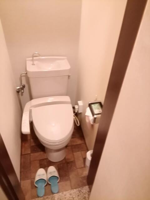 WILL CITY 浅草 ANNEX(台東区/ラブホテル)の写真『502号室トイレです。(22,1)』by キジ