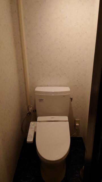 ラグナスカイ＆ロコパーク(神栖市/ラブホテル)の写真『ラグナスカイ201号室  トイレ』by ないとん