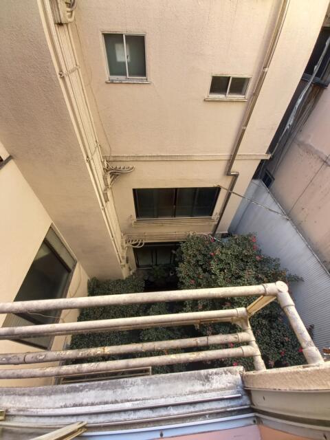 ホテルいいじま(新宿区/ラブホテル)の写真『305号室の部屋から見える中庭』by angler