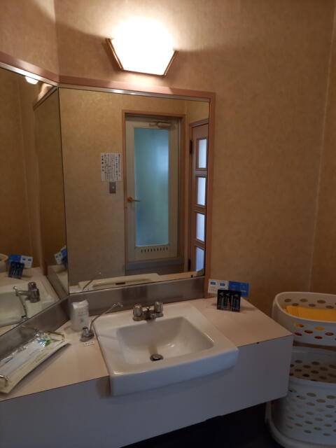 ホテルいいじま(新宿区/ラブホテル)の写真『305号室の洗面台』by angler