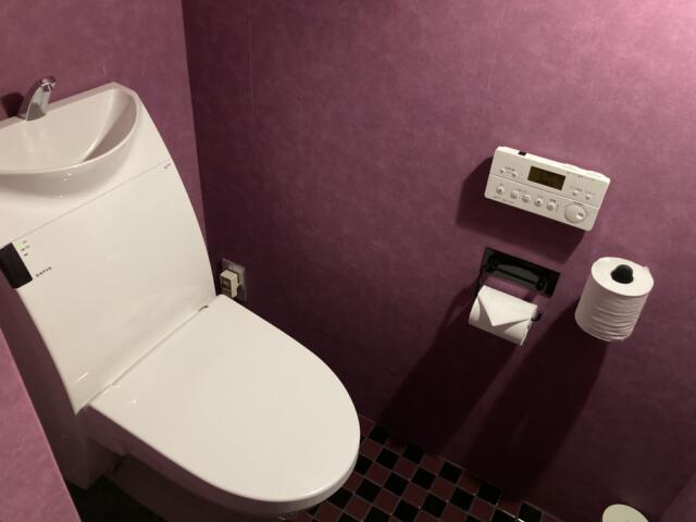 WANDOO(ワンドゥ)(相模原市/ラブホテル)の写真『606号室　トイレ』by KAMUY