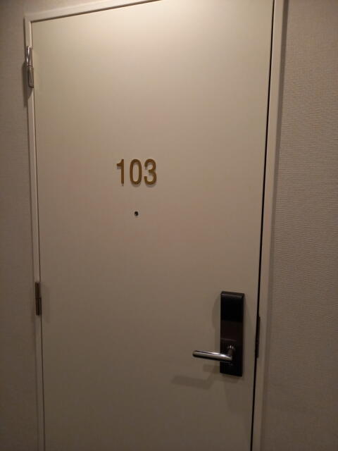 ホテル大山(新宿区/ラブホテル)の写真『103号室 ドア』by angler