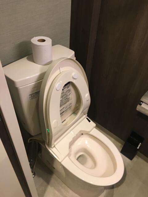 ホテル大山(新宿区/ラブホテル)の写真『107号室　トイレ』by ちげ