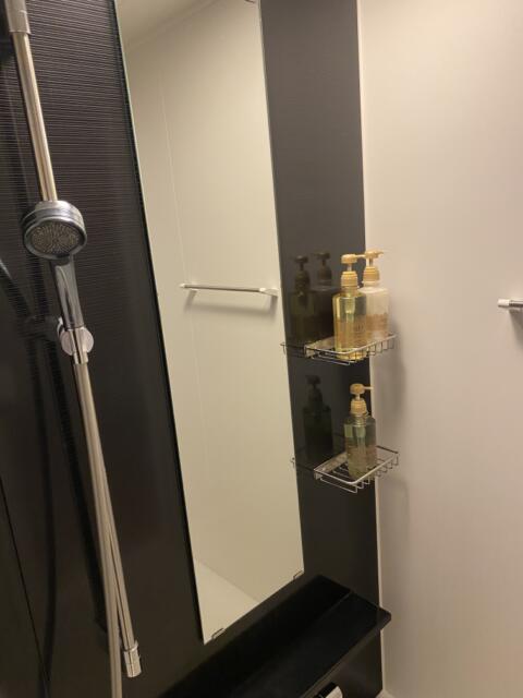 ホテル大山(新宿区/ラブホテル)の写真『208号室(浴室右手前から鏡)』by こねほ