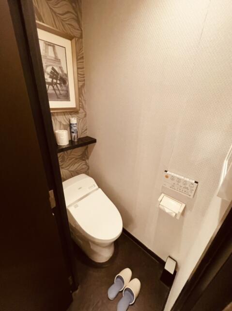 HOTEL ALL-INN G（オールインジー）(豊島区/ラブホテル)の写真『603号室のトイレ』by miffy.GTI