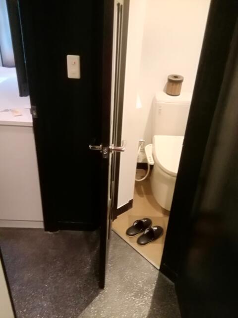 ホテル レモンツリー　船橋(船橋市/ラブホテル)の写真『406号室、右手がトイレです。(22,2)』by キジ