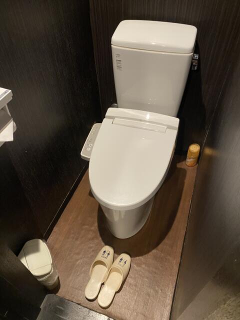 HOTEL GRANDE(川口市/ラブホテル)の写真『303号室(トイレ)』by こねほ