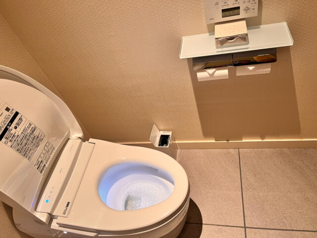 VARKIN ANNEX(バーキンアネックス)(豊島区/ラブホテル)の写真『101号室　トイレ』by INA69
