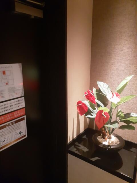 HOTEL AILU(アイル)(豊島区/ラブホテル)の写真『503号室　客室玄関』by 来栖
