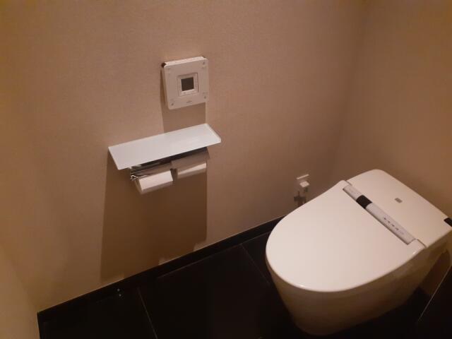 HOTEL AILU(アイル)(豊島区/ラブホテル)の写真『503号室　トイレ』by 来栖