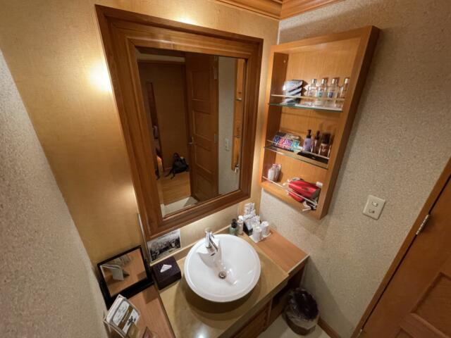 バニラリゾート東村山(東村山市/ラブホテル)の写真『403号室　洗面台』by 冷やっこ