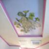 ホテルフロリダ(豊島区/ラブホテル)の写真『B112号室　天井の絵』by マーケンワン