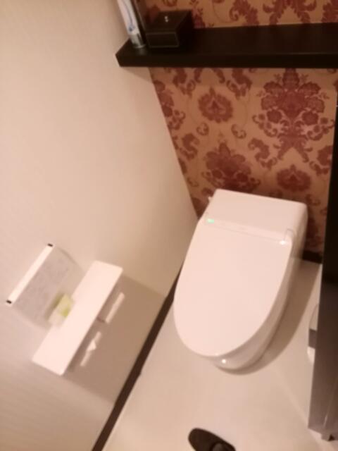 SARA船橋(船橋市/ラブホテル)の写真『205号室、トイレです。(22,3)』by キジ