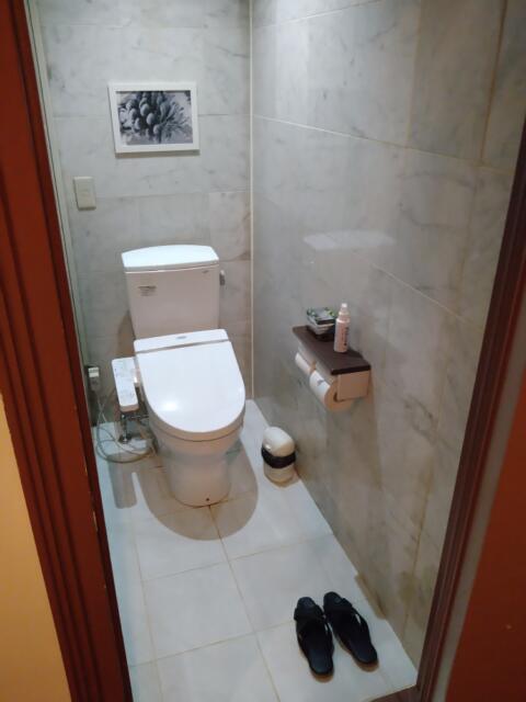 HOTEL CUE厚木(厚木市/ラブホテル)の写真『405号室 トイレ。ソファーのすぐ横にある。変な造り…』by なめろう