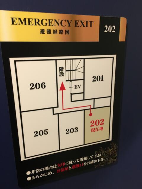 HOTEL Bless（ブレス)(新宿区/ラブホテル)の写真『202号室　平面図』by ちげ