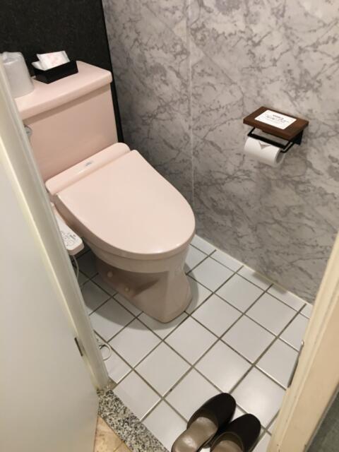 HOTEL Bless（ブレス)(新宿区/ラブホテル)の写真『202号室　トイレ』by ちげ