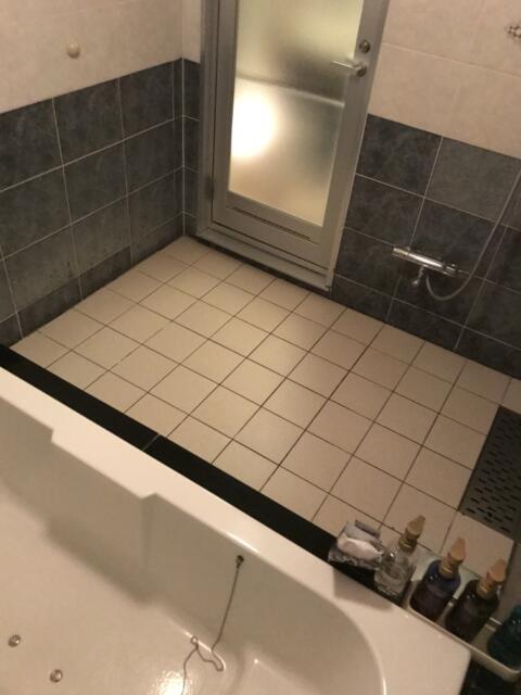 HOTEL JULIAN(ジュリアン)(座間市/ラブホテル)の写真『208号室の浴室②』by 少佐
