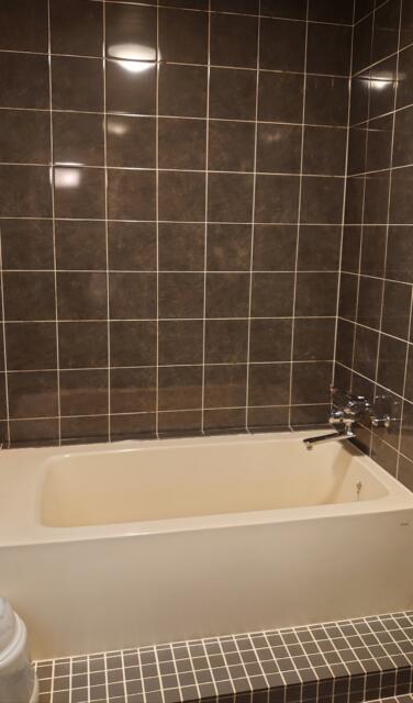 キャメルイン(立川市/ラブホテル)の写真『キャメルイン317号室の浴室です。バスタブは広めだし、シャワーフロアも広々としていて、楽しめますよ。床もきれいだし、イチャイチャタイムに一役買います。』by マックさん