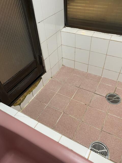 ドルフィン(新宿区/ラブホテル)の写真『405号室(浴室奥から)』by こねほ